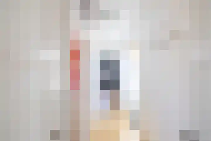 Kooiweg 25 Eelde thumbnail 45