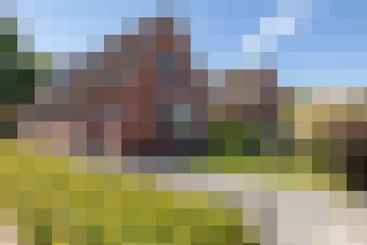Kooiweg 25 Eelde thumbnail 5