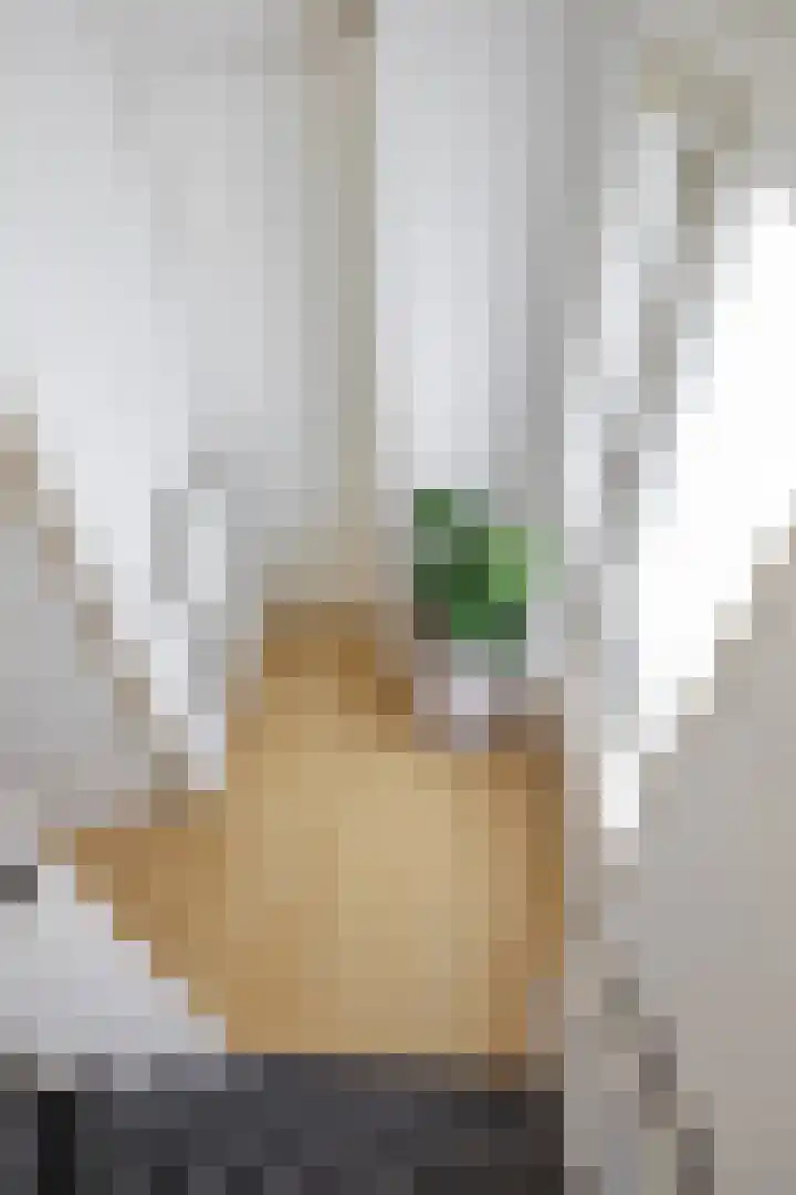 Kooiweg 25 Eelde thumbnail 6