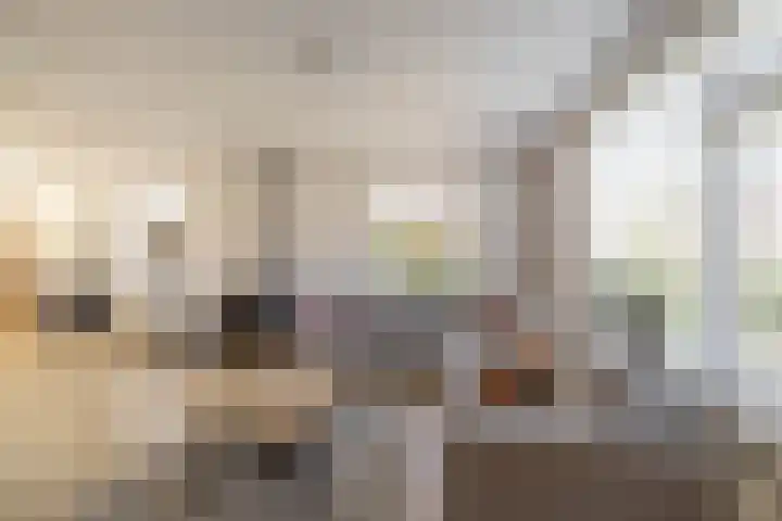 Kooiweg 25 Eelde thumbnail 8