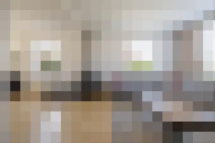 Kooiweg 25 Eelde thumbnail 9
