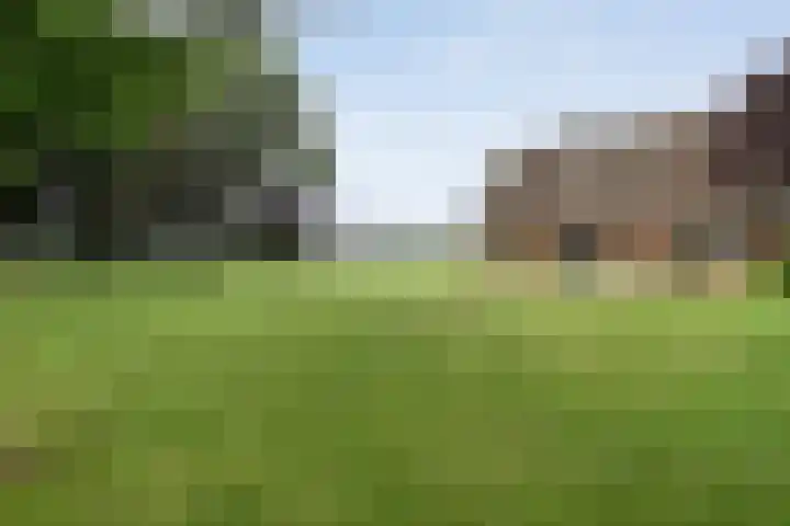Kooiweg 3 Radewijk thumbnail 10