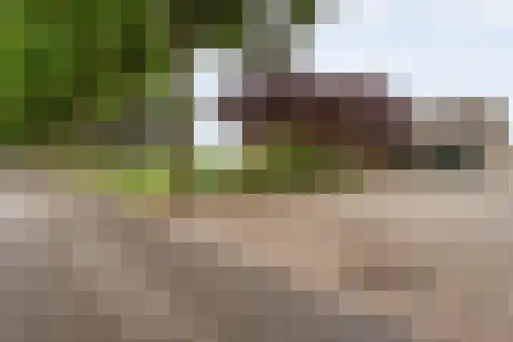 Kooiweg 3 Radewijk thumbnail 11