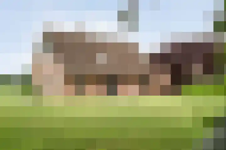 Kooiweg 3 Radewijk thumbnail 13