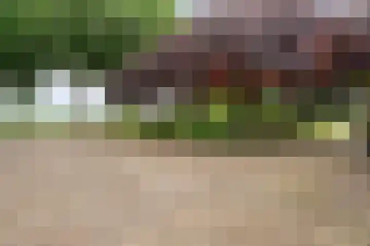 Kooiweg 3 Radewijk thumbnail 14