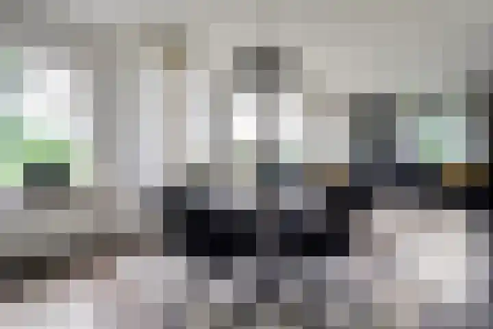 Kooiweg 3 Radewijk thumbnail 22