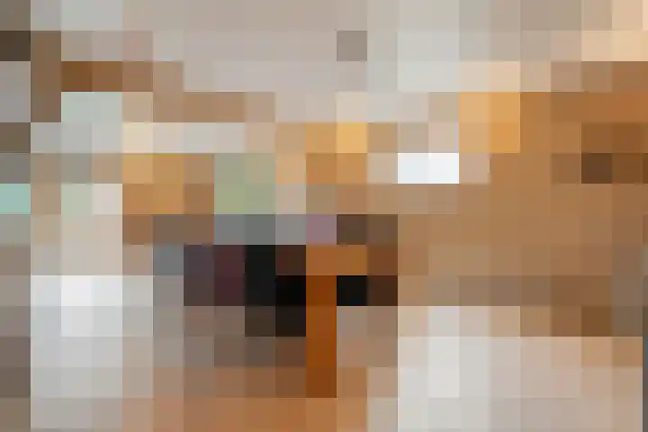 Kooiweg 3 Radewijk thumbnail 38