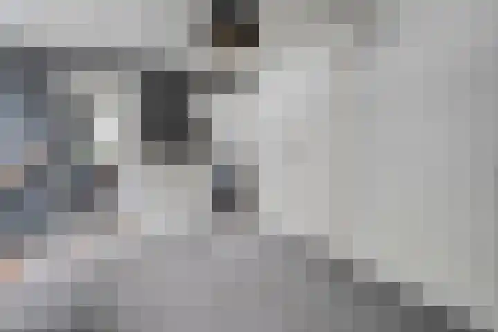 Kooiweg 3 Radewijk thumbnail 48