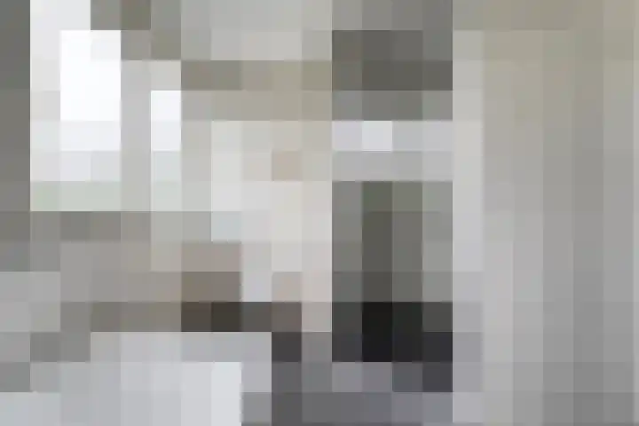 Kooiweg 3 Radewijk thumbnail 58