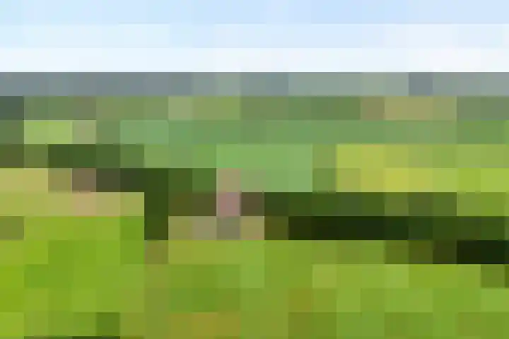Kooiweg 3 Radewijk thumbnail 6