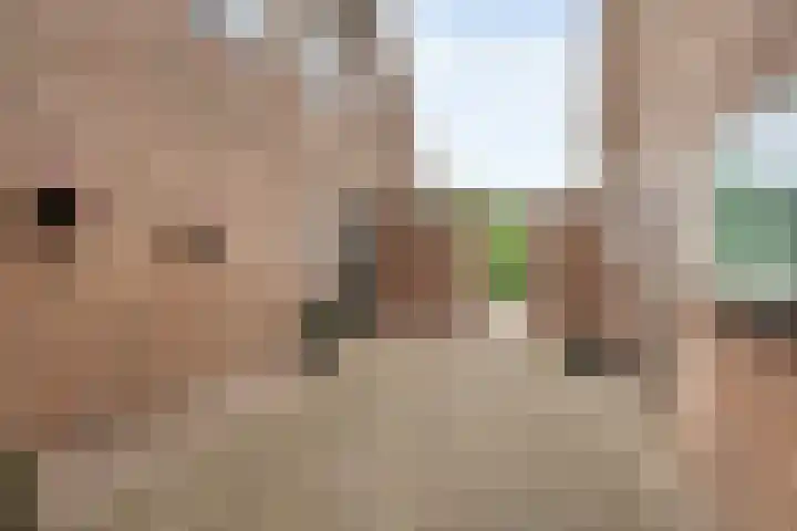 Kooiweg 3 Radewijk thumbnail 67