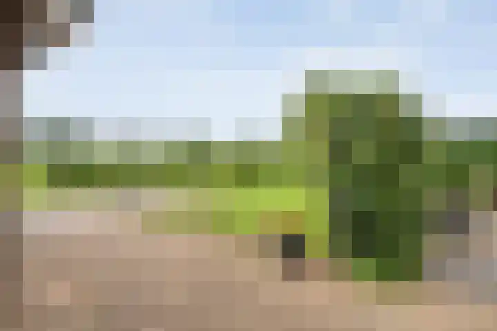 Kooiweg 3 Radewijk thumbnail 68