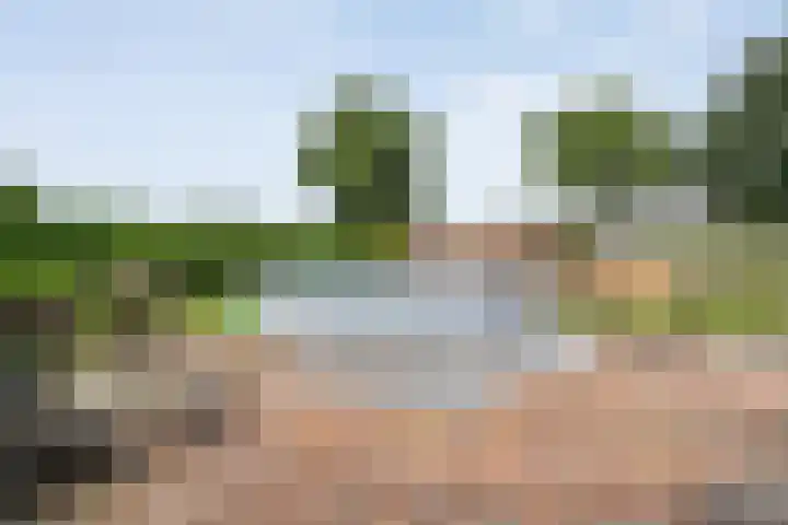 Kooiweg 3 Radewijk thumbnail 69