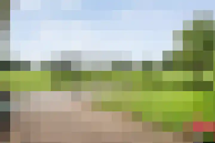 Kooiweg 3 Radewijk thumbnail 70