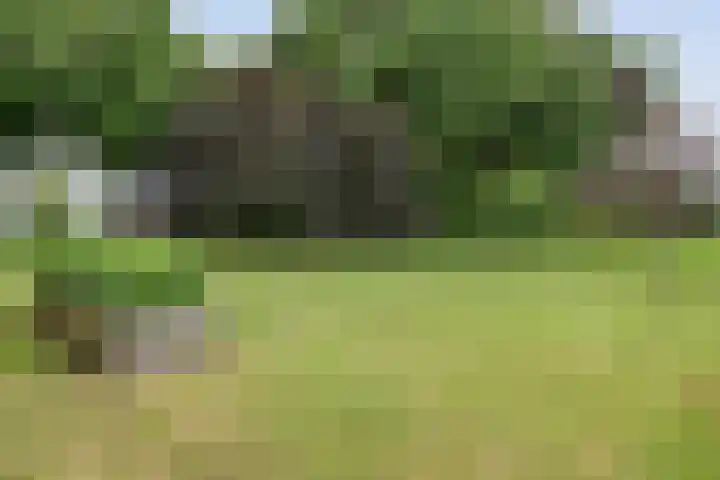 Kooiweg 3 Radewijk thumbnail 71