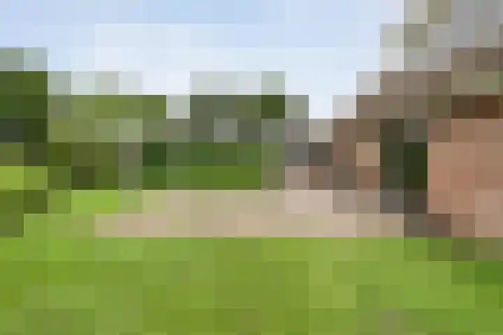 Kooiweg 3 Radewijk thumbnail 73