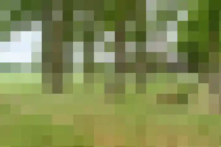 Kooiweg 3 Radewijk thumbnail 74