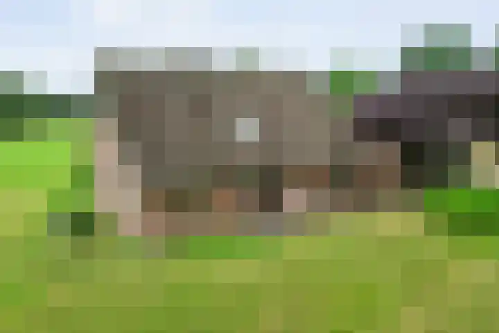 Kooiweg 3 Radewijk thumbnail 8