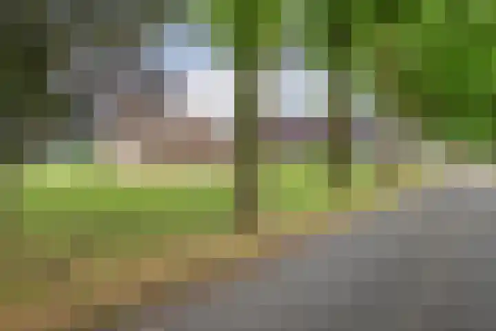 Kooiweg 3 Radewijk thumbnail 9
