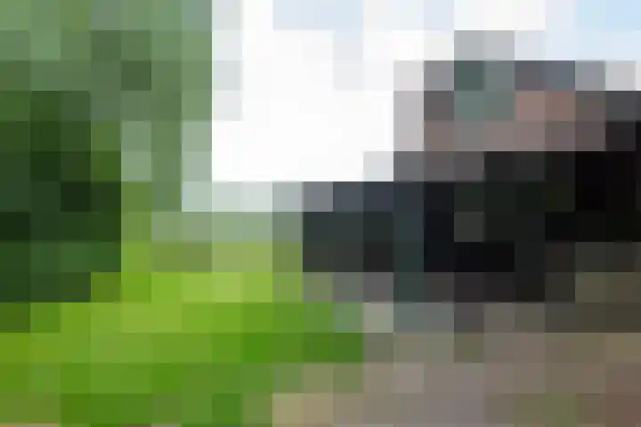 Kooiweg 5 Veenendaal thumbnail 31