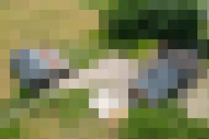 Kooiweg 5 Veenendaal thumbnail 32