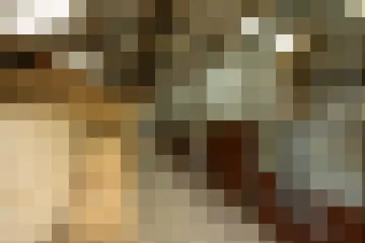 Kooiweg 5 Veenendaal thumbnail 33
