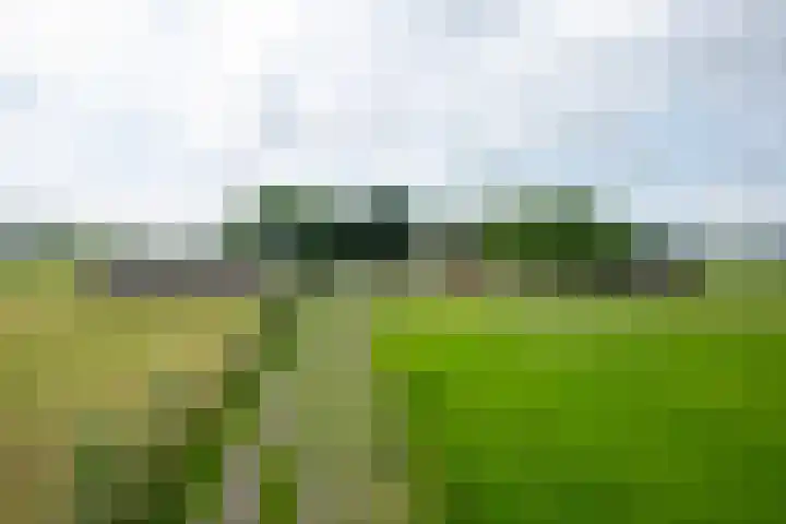Kooiweg 5 Veenendaal thumbnail 35