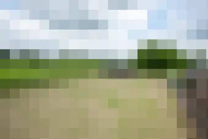 Kooiweg 5 Veenendaal thumbnail 39