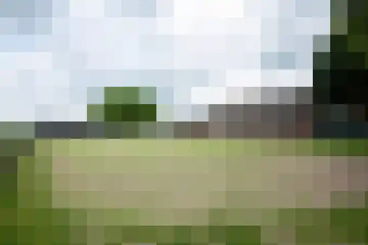 Kooiweg 5 Veenendaal thumbnail 4