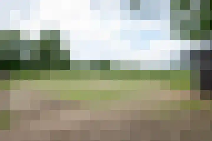Kooiweg 5 Veenendaal thumbnail 40