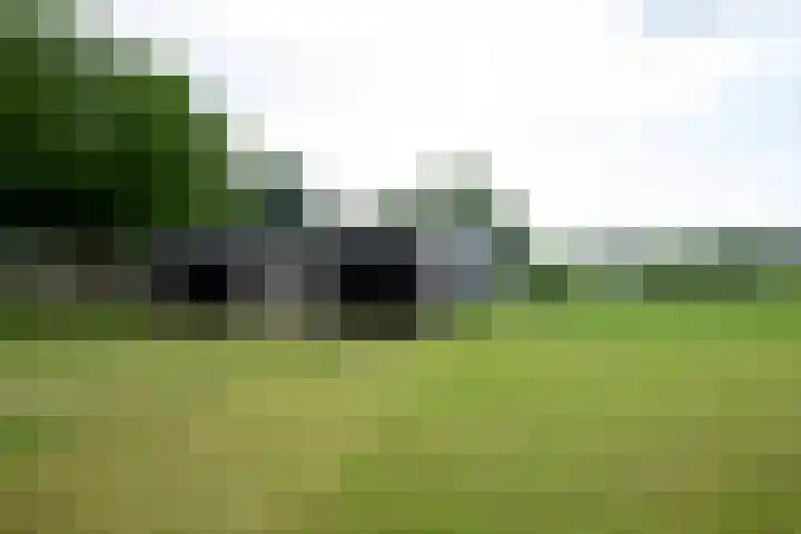 Kooiweg 5 Veenendaal thumbnail 41
