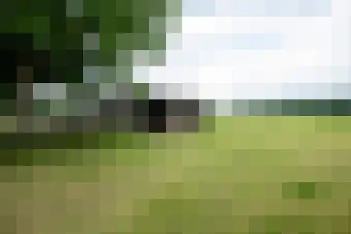 Kooiweg 5 Veenendaal thumbnail 42
