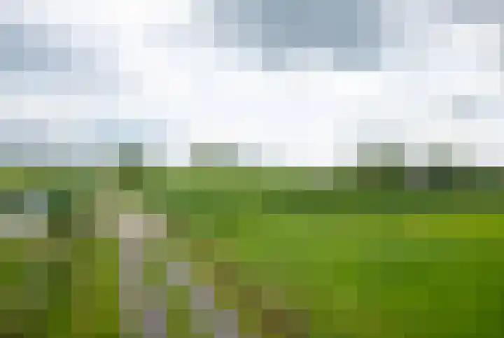 Kooiweg 5 Veenendaal thumbnail 44