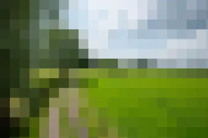 Kooiweg 5 Veenendaal thumbnail 45
