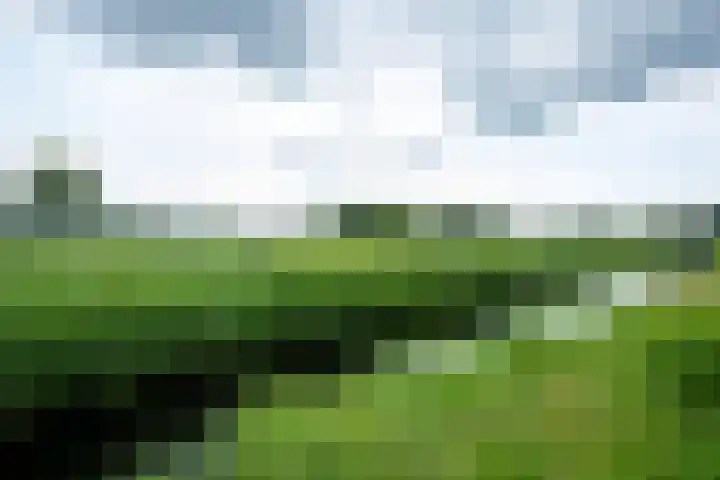 Kooiweg 5 Veenendaal thumbnail 46