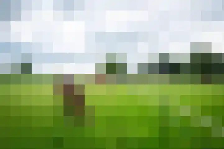 Kooiweg 5 Veenendaal thumbnail 48