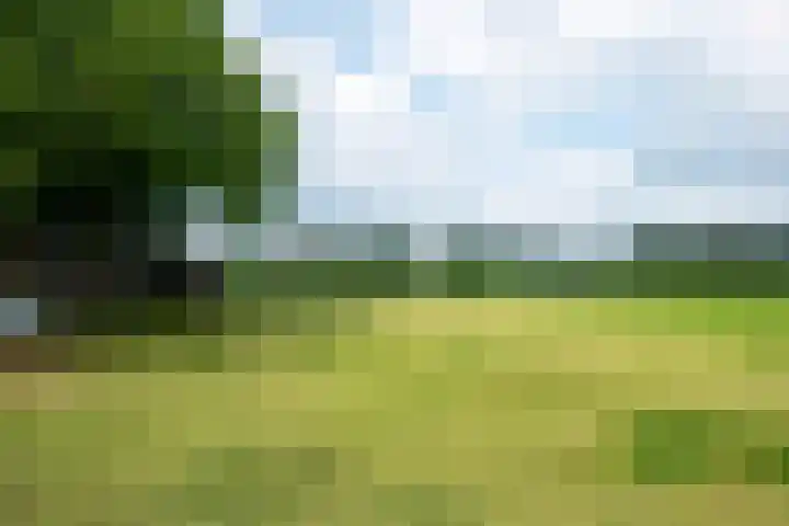 Kooiweg 5 Veenendaal thumbnail 49