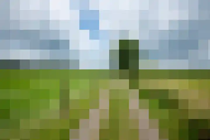 Kooiweg 5 Veenendaal thumbnail 50