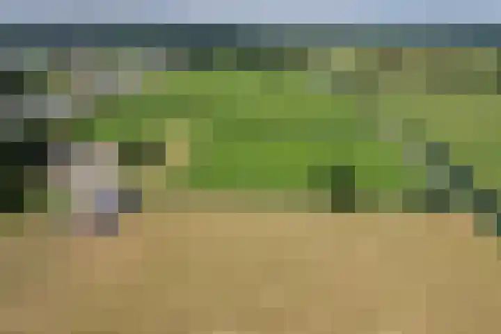 Kooiweg 5 Veenendaal thumbnail 51
