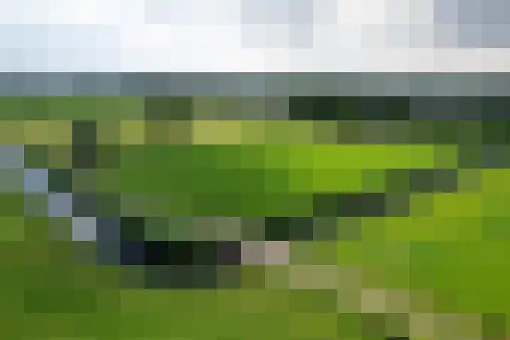 Kooiweg 5 Veenendaal thumbnail 52