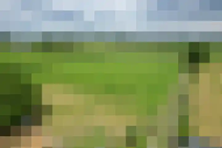 Kooiweg 5 Veenendaal thumbnail 53