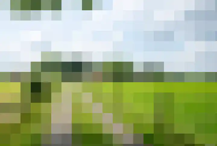 Kooiweg 5 Veenendaal thumbnail 6