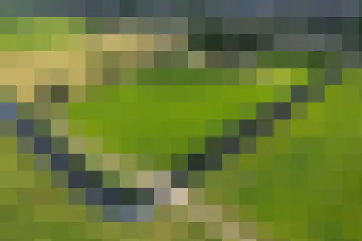 Kooiweg 5 Veenendaal thumbnail 7