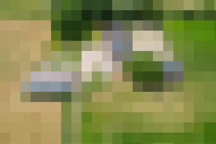 Kooiweg 5 Veenendaal thumbnail 8