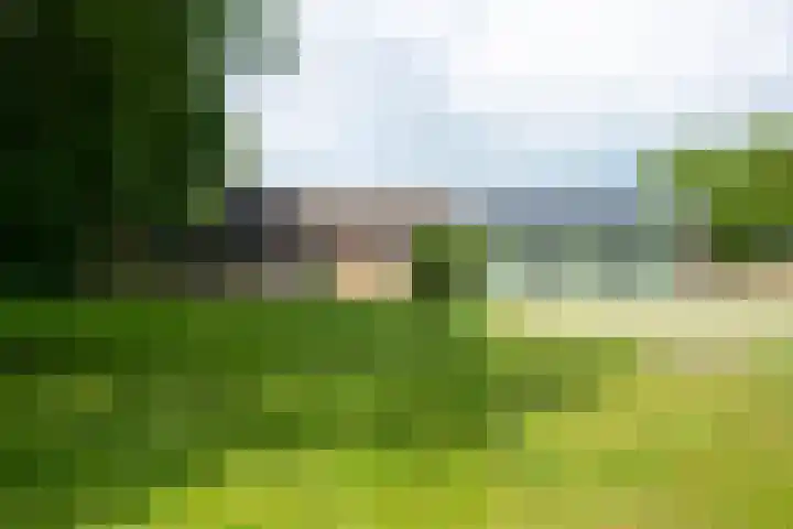Kooiweg 5 Veenendaal thumbnail 9