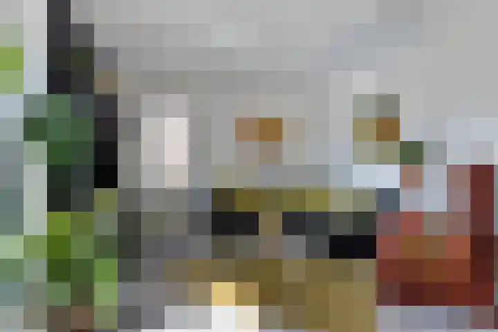Kooiwiel 14 Bant thumbnail 10