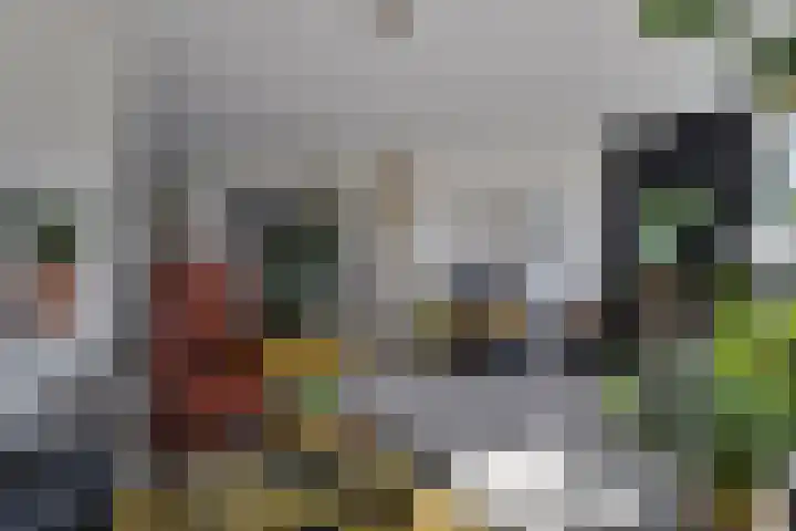 Kooiwiel 14 Bant thumbnail 11
