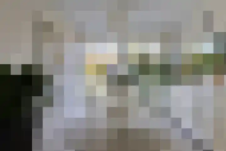 Kooiwiel 14 Bant thumbnail 14