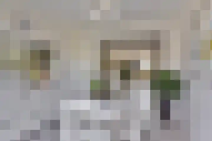 Kooiwiel 14 Bant thumbnail 15