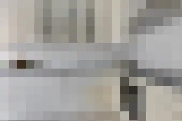 Kooiwiel 14 Bant thumbnail 16